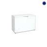 ARCON CONGELADOR CAP. 263L PUERTA ABATIBLE