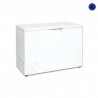 ARCON CONGELADOR CAP. 263L PUERTA ABATIBLE